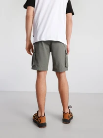 Шорты The North Face Anticline модель NF0A55B6V381 Фото