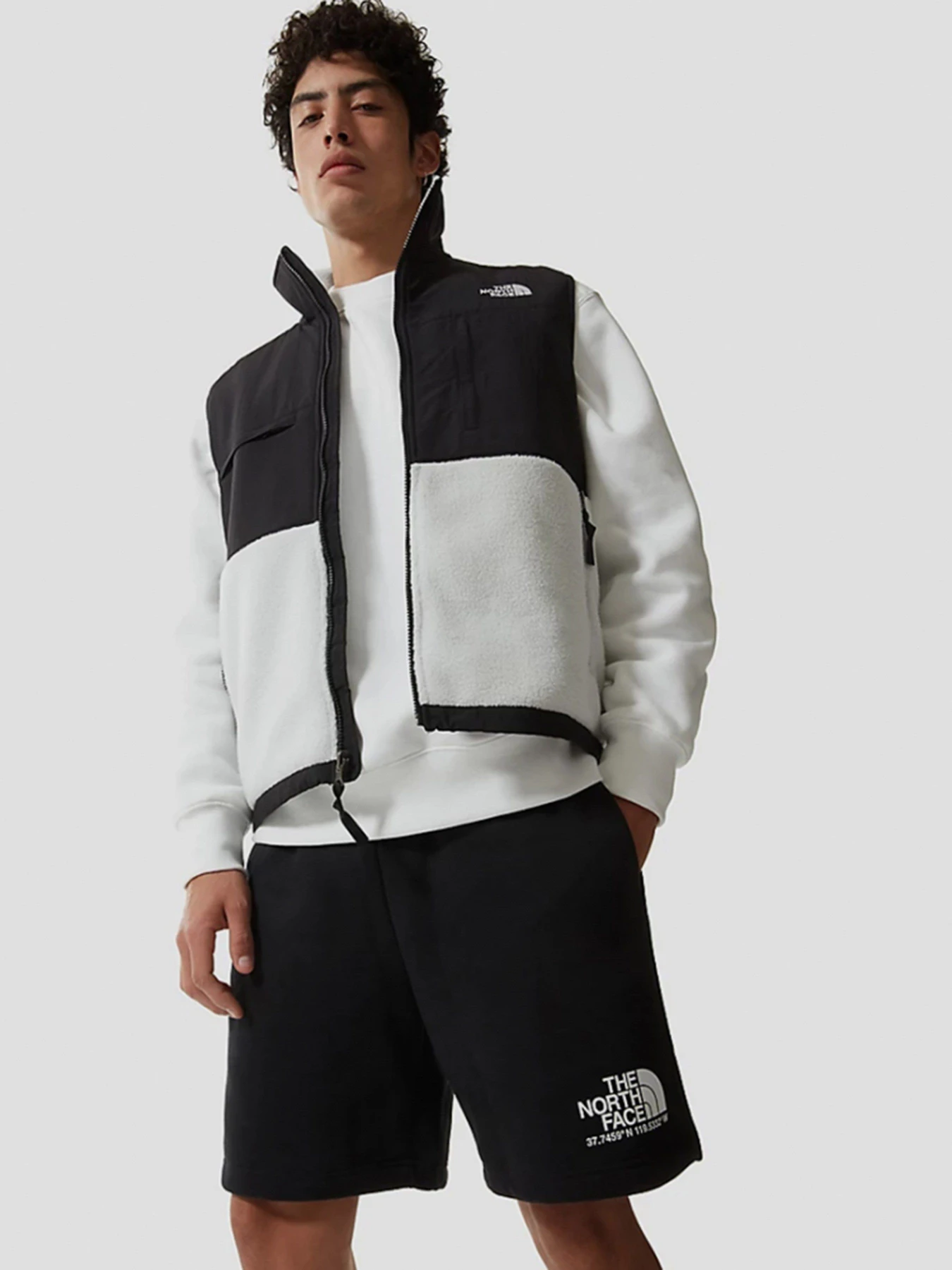 Шорты The North Face Coordinates модель NF0A55UUJK31 Шорты The North Face Coordinates модель NF0A55UUJK31 Фото