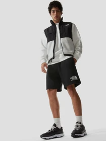 Шорты The North Face Coordinates модель NF0A55UUJK31 Фото
