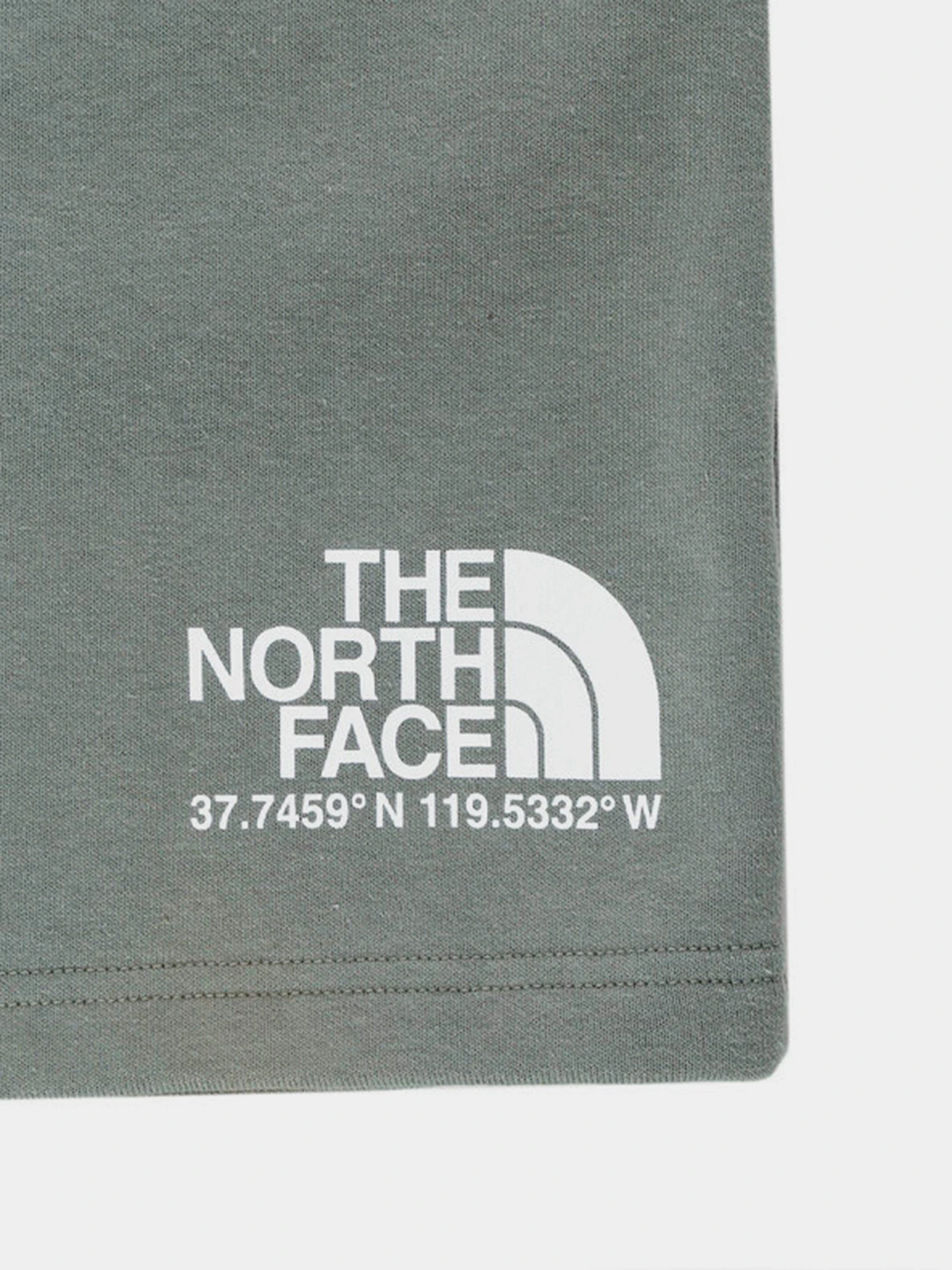 Шорты The North Face Coordinates модель NF0A55UUV381 Шорты The North Face Coordinates модель NF0A55UUV381 Фото