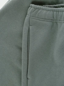 Шорты The North Face Coordinates модель NF0A55UUV381 Фото