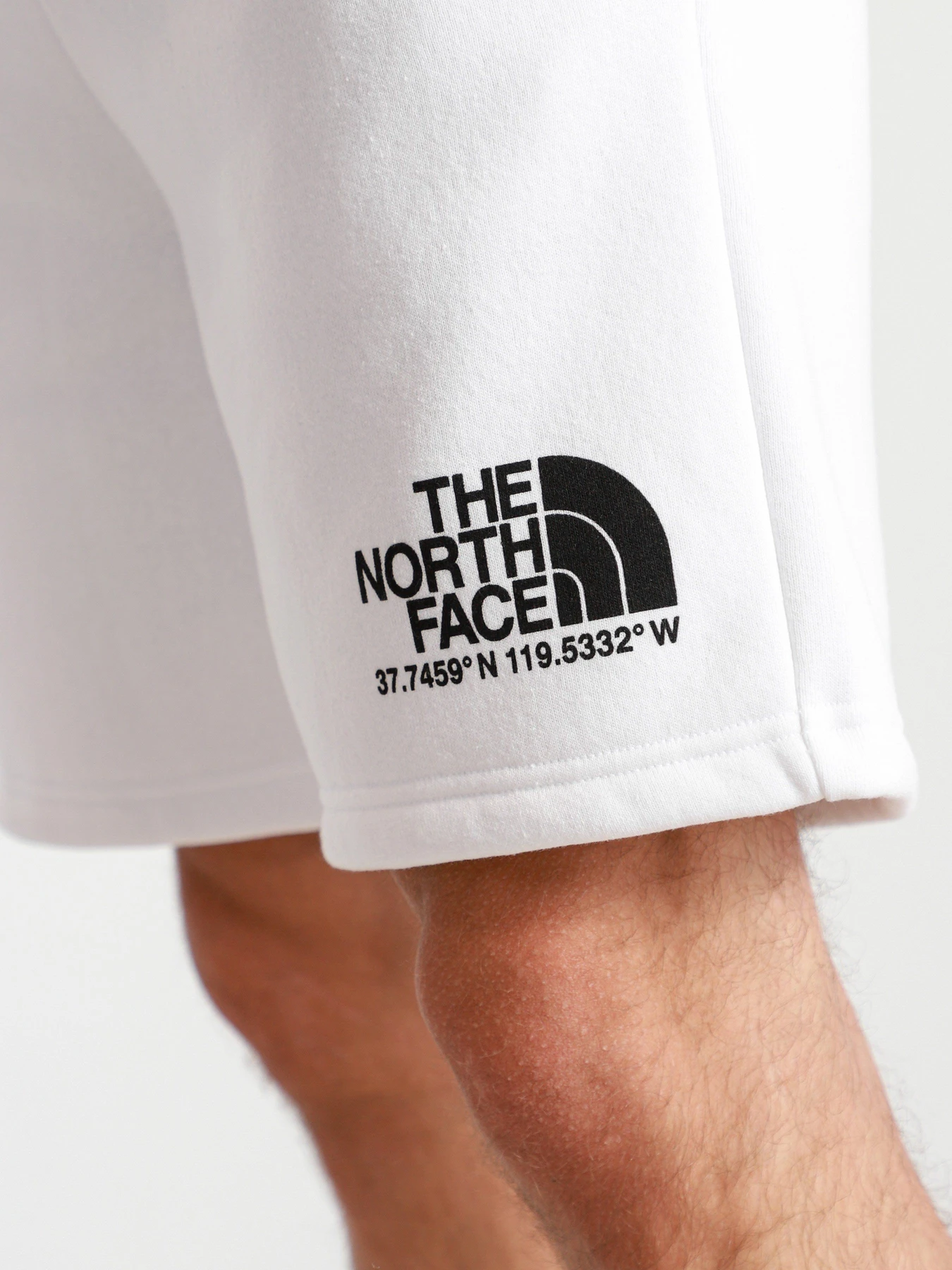 Шорты The North Face Coordinates модель NF0A55UUFN41 Фото