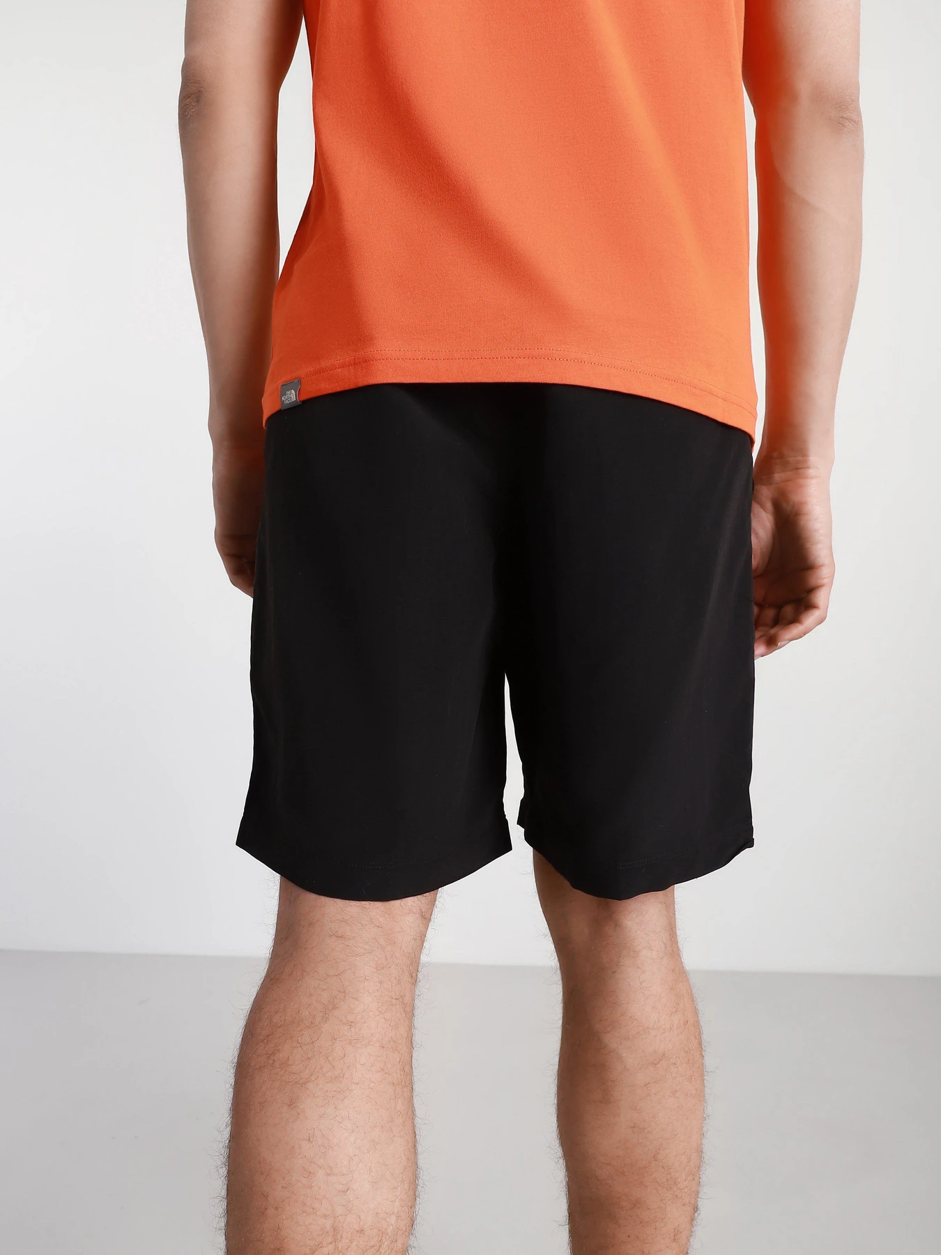 Шорты The North Face Class V модель NF00CMA1JK31 Фото