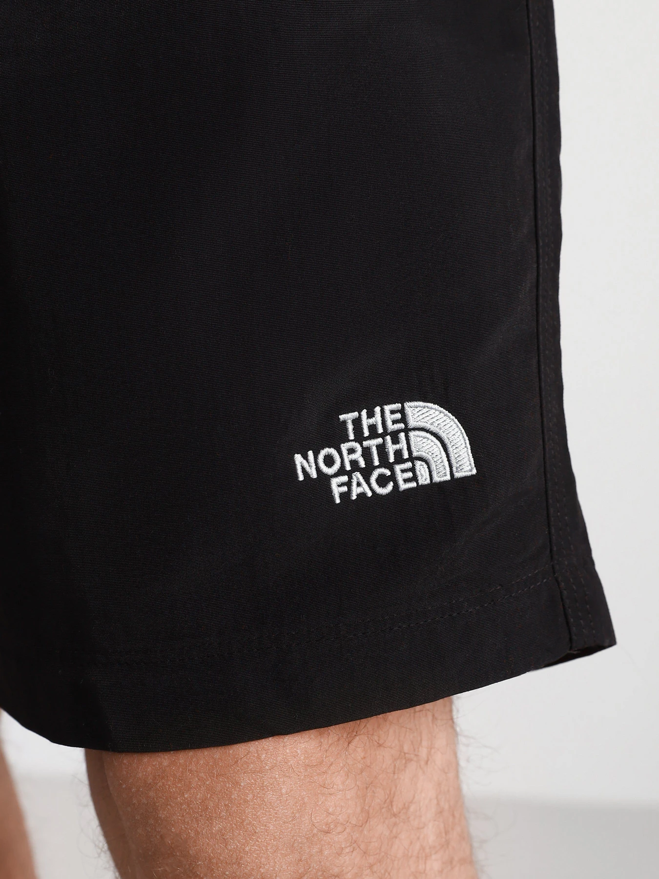 Шорты The North Face Class V модель NF00CMA1JK31 Фото