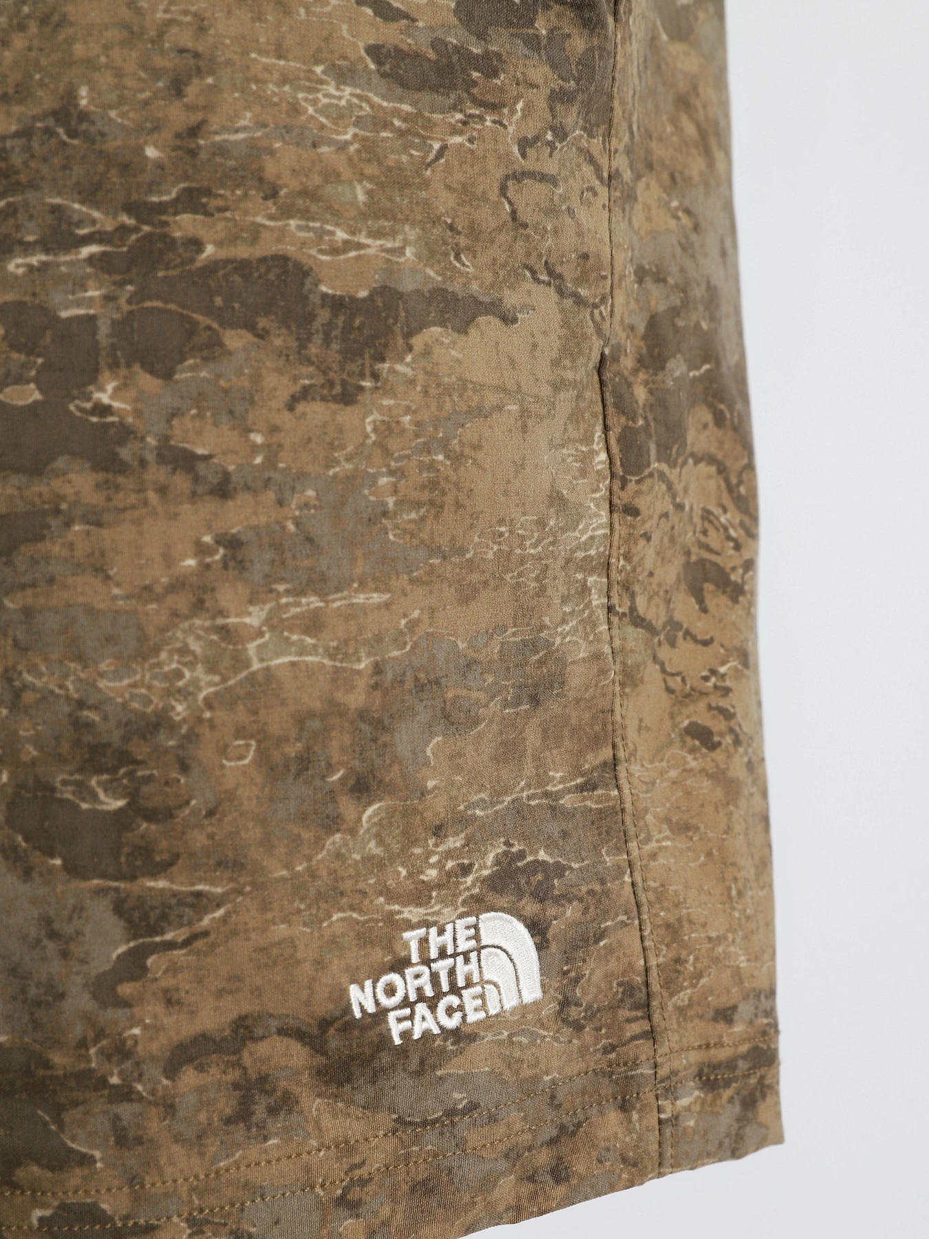 Шорты The North Face Class V модель NF0A5A5X02D1 Фото