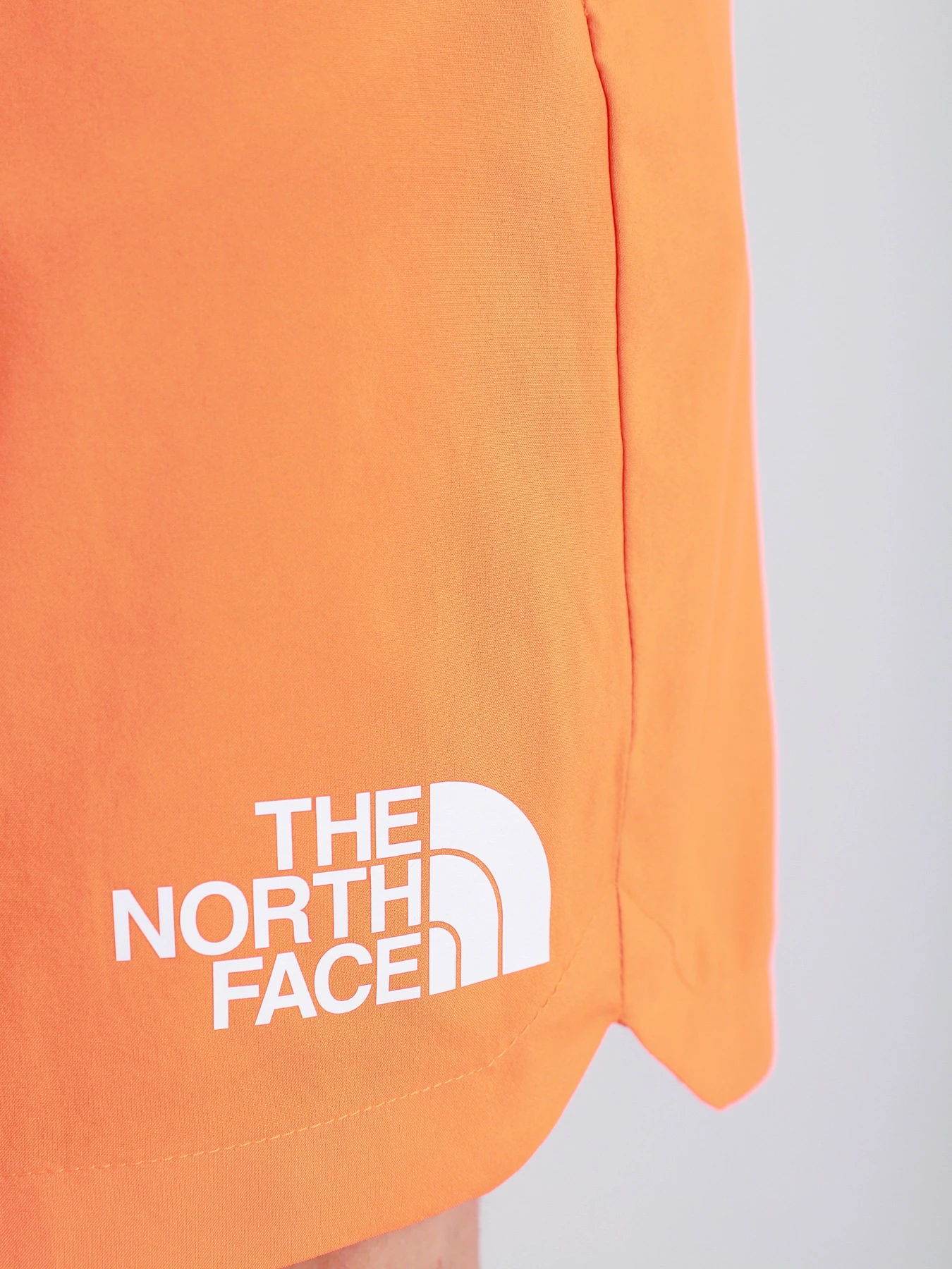 Шорты The North Face M Ma Woven модель NF0A5598BEH1 Шорты The North Face M Ma Woven модель NF0A5598BEH1 Фото