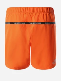 Шорты The North Face M Ma Woven модель NF0A5598BEH1 Фото