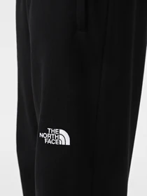 Брюки The North Face NSE Light модель NF0A4T1FJK31 Фото