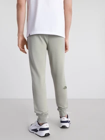 Брюки The North Face Nse Light модель NF0A4T1FHDF1 Фото