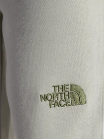 Брюки The North Face Nse Light модель NF0A4T1FHDF1 Фото
