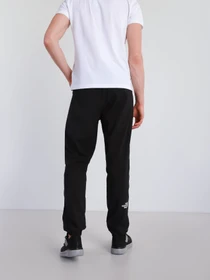 Брюки The North Face Mountain Athletics Woven Pant модель NF0A5599KX71 Фото