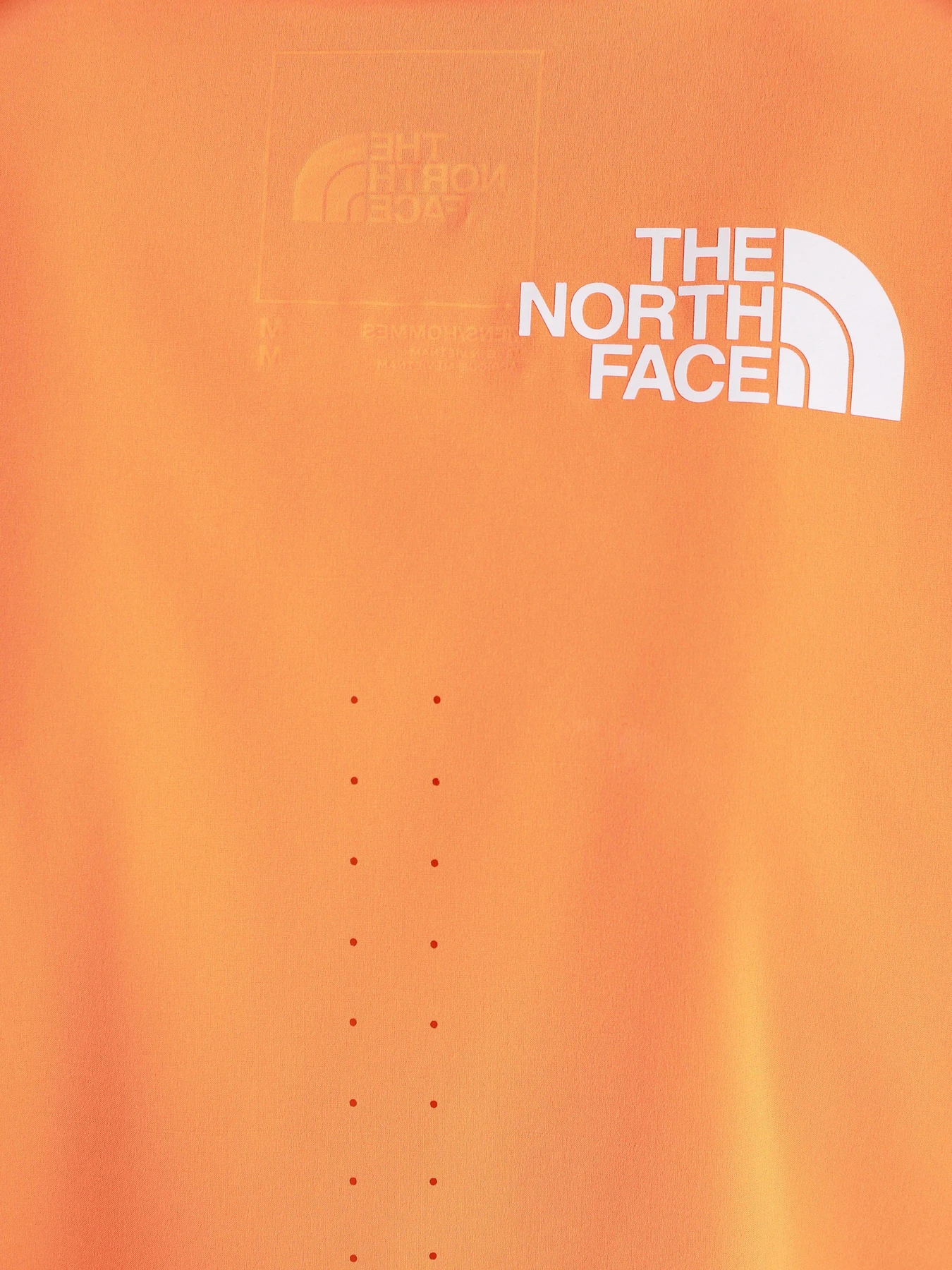 Футболки и поло The North Face Flight Weightless модель NF0A536ZBEH1 Футболки и поло The North Face Flight Weightless модель NF0A536ZBEH1 Фото