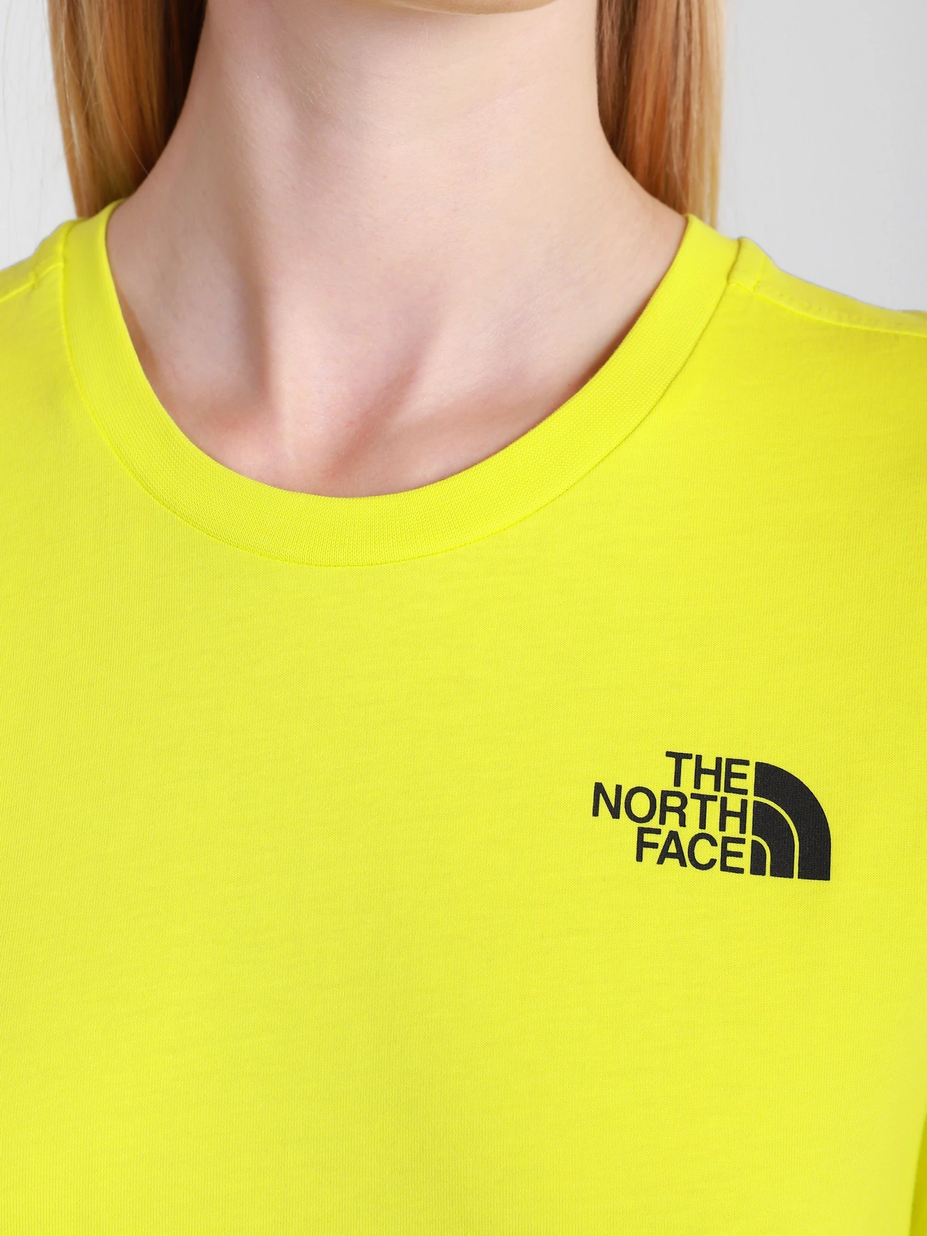 Футболки и поло The North Face SIMPLE DOME модель NF0A4CESJE31 Футболки и поло The North Face SIMPLE DOME модель NF0A4CESJE31 Фото