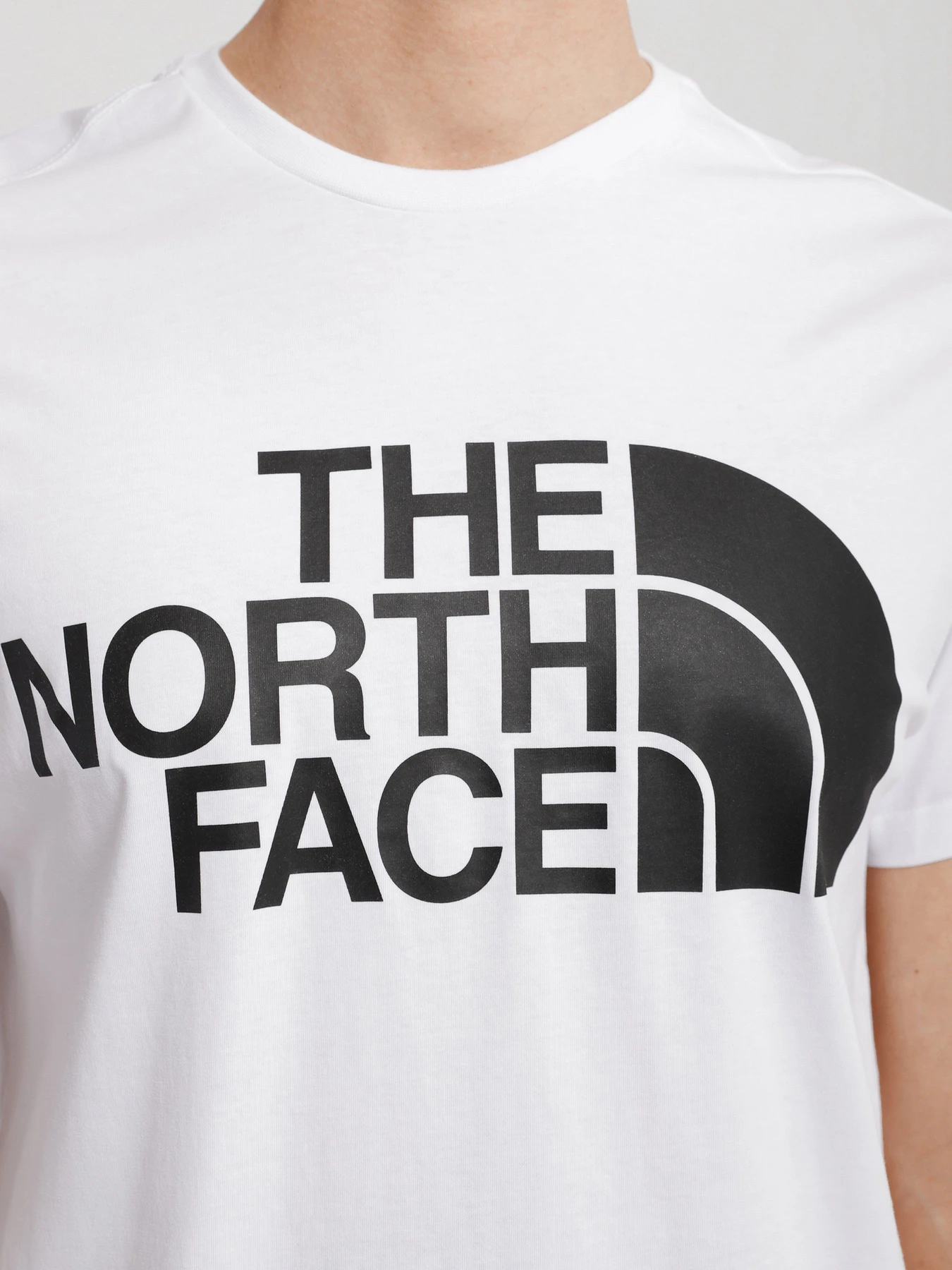 Футболки і поло The North Face Standard Ls Basic Logo модель NF0A4M7XFN41 Фото