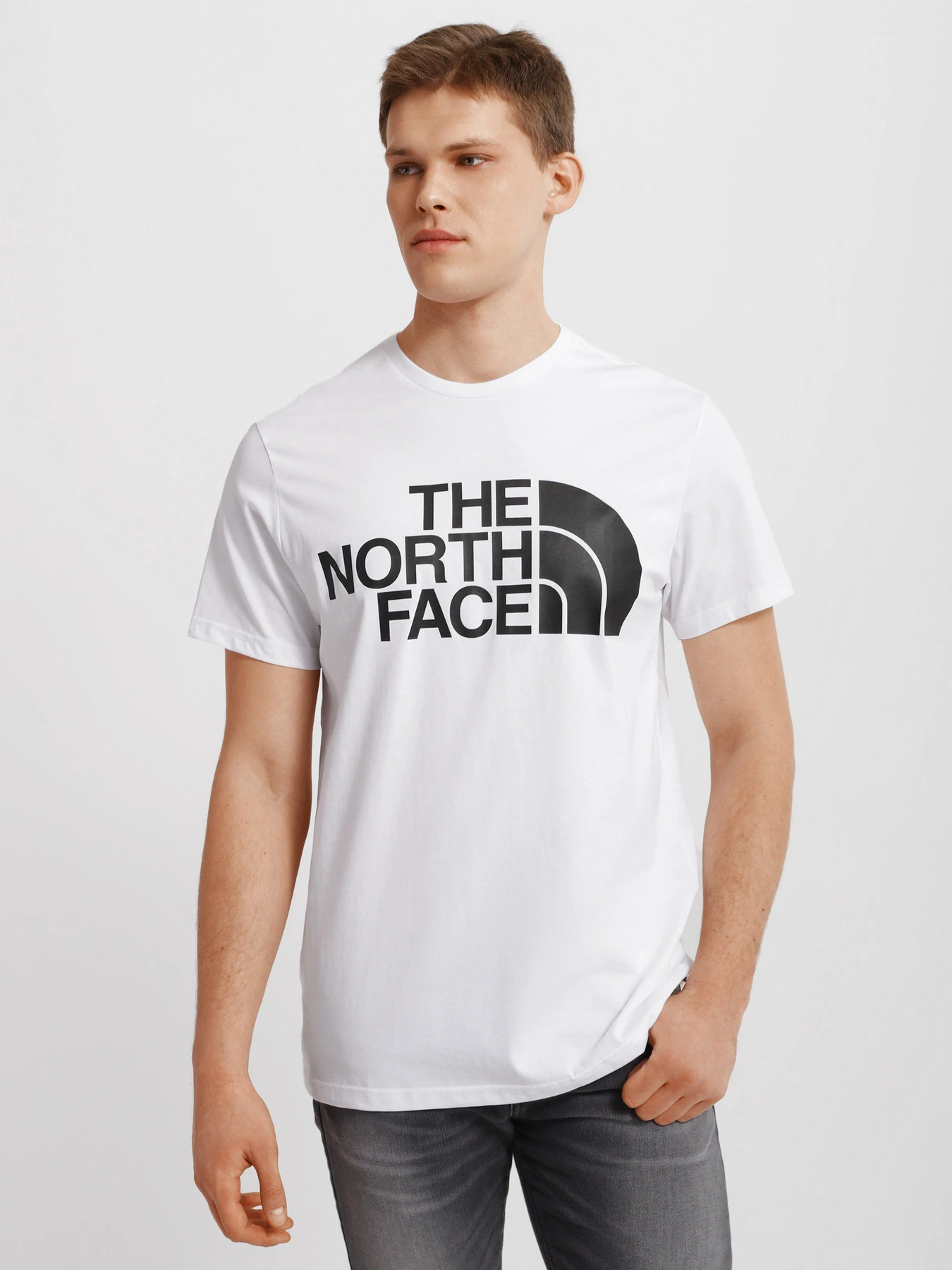 Футболки і поло The North Face Standard Ls Basic Logo модель NF0A4M7XFN41 Фото