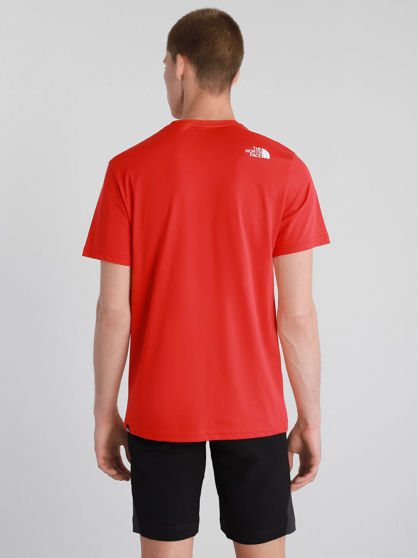 Футболки и поло The North Face Standard Ls Basic Logo модель NF0A4M7XV331 Футболки и поло The North Face Standard Ls Basic Logo модель NF0A4M7XV331 Фото