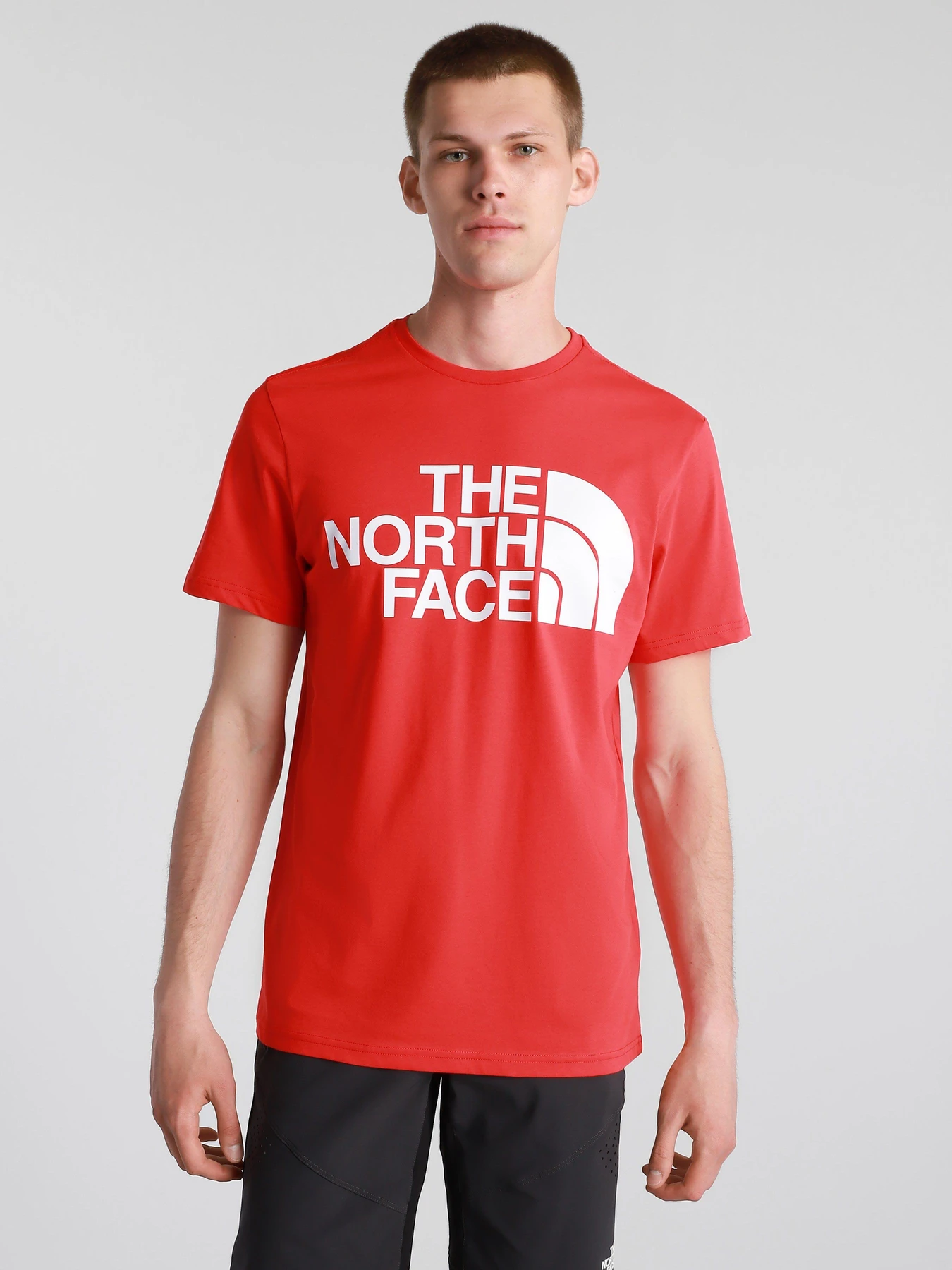 Футболки и поло The North Face Standard Ls Basic Logo модель NF0A4M7XV331 Футболки и поло The North Face Standard Ls Basic Logo модель NF0A4M7XV331 Фото