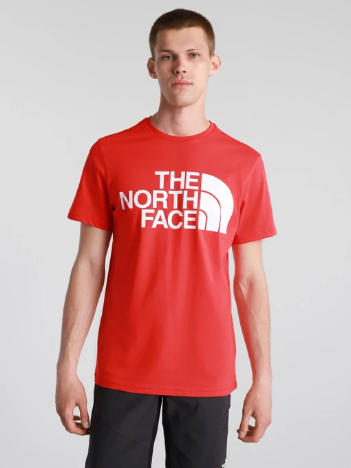 Футболки і поло The North Face Standard Ls Basic Logo модель NF0A4M7XV331 Фото