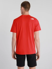 Футболки и поло The North Face Standard Ls Basic Logo модель NF0A4M7XV331 Фото
