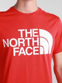 Футболки и поло The North Face Standard Ls Basic Logo модель NF0A4M7XV331 Фото