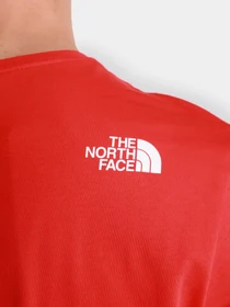Футболки и поло The North Face Standard Ls Basic Logo модель NF0A4M7XV331 Фото