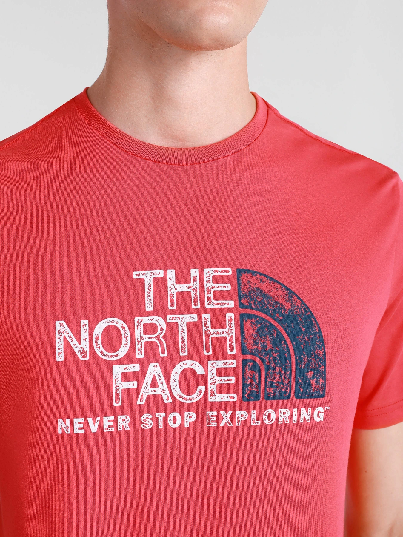 Футболки и поло The North Face RUST 2 модель NF0A4M68V341 Футболки и поло The North Face RUST 2 модель NF0A4M68V341 Фото