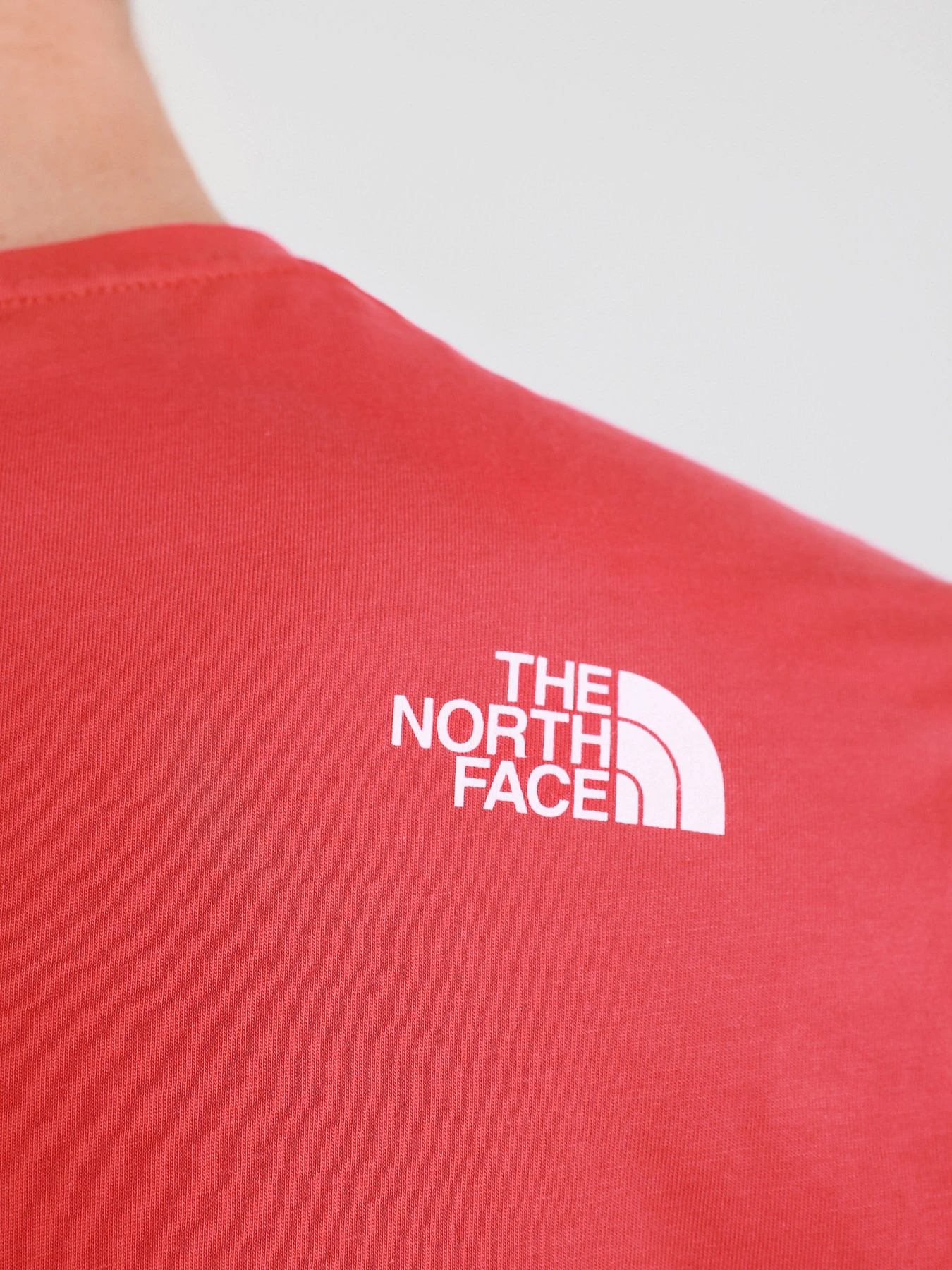 Футболки и поло The North Face RUST 2 модель NF0A4M68V341 Футболки и поло The North Face RUST 2 модель NF0A4M68V341 Фото