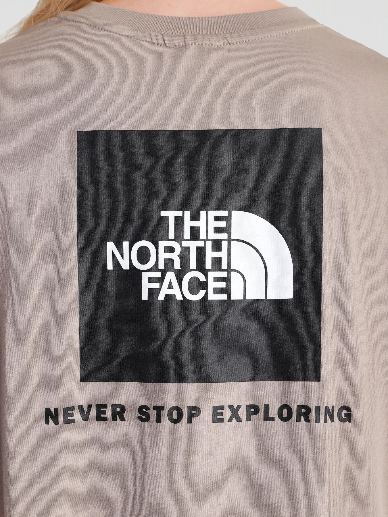 Футболки и поло The North Face Red Box модель NF0A4M5QVQ81 Футболки и поло The North Face Red Box модель NF0A4M5QVQ81 Фото