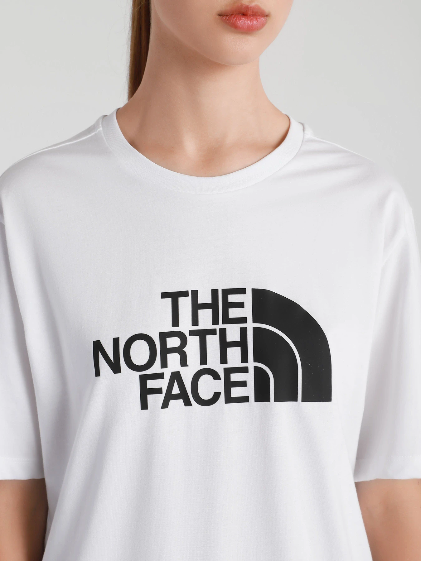 Футболки и поло The North Face Easy модель NF0A4M5PLA91 Футболки и поло The North Face Easy модель NF0A4M5PLA91 Фото