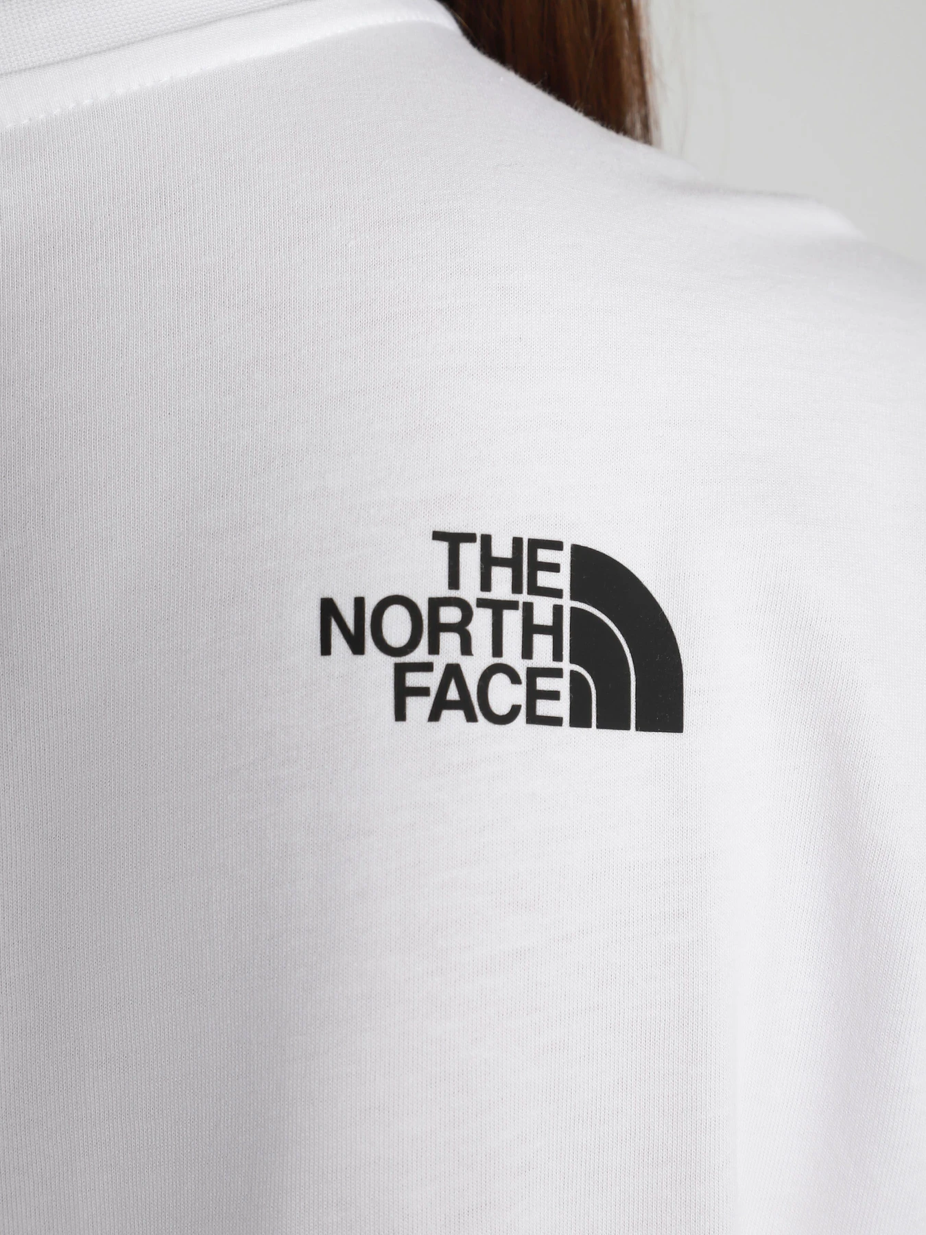 Футболки и поло The North Face Easy модель NF0A4M5PLA91 Футболки и поло The North Face Easy модель NF0A4M5PLA91 Фото