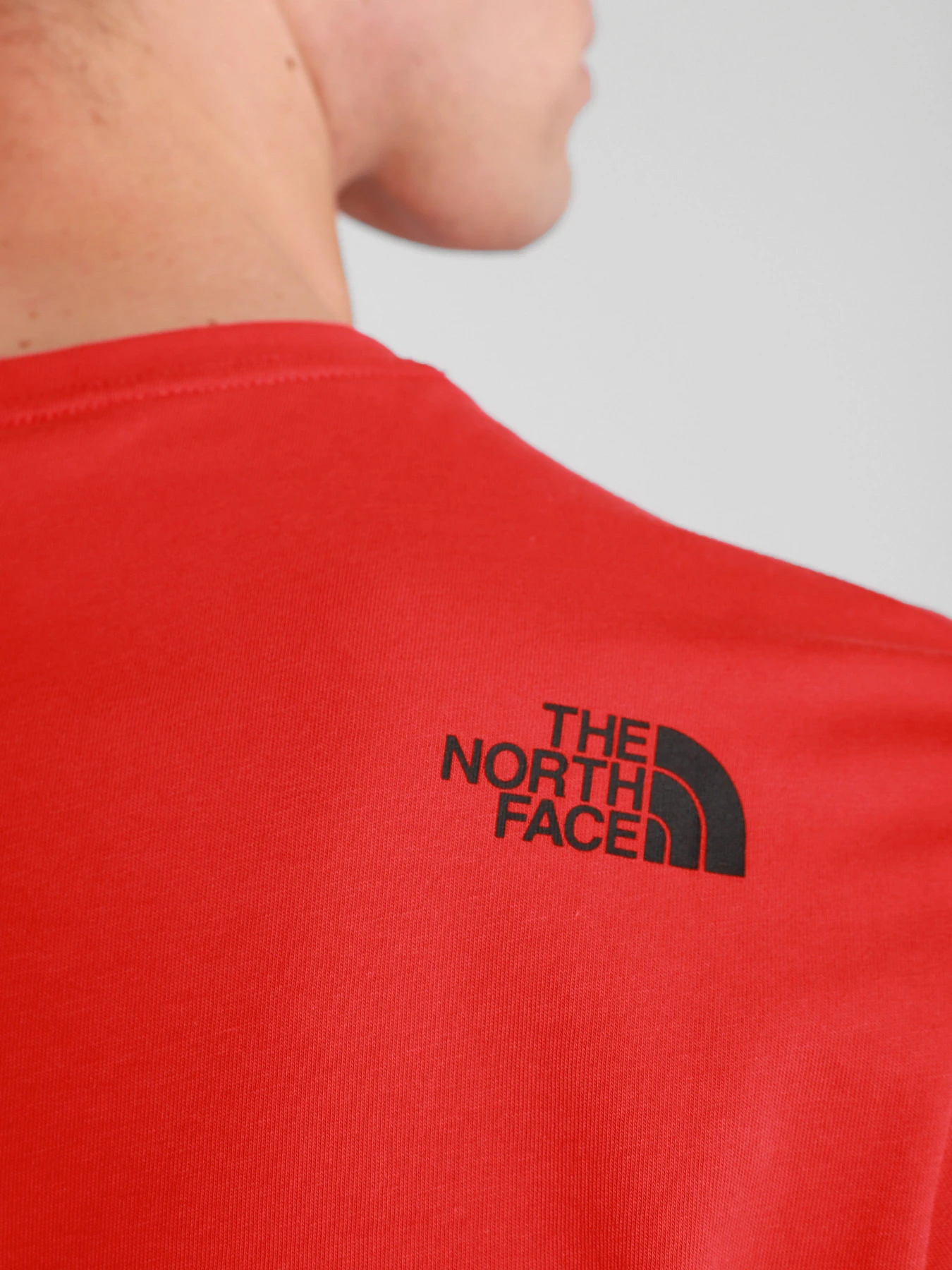 Футболки и поло The North Face S/S Fine модель NF00CEQ5V331 Футболки и поло The North Face S/S Fine модель NF00CEQ5V331 Фото
