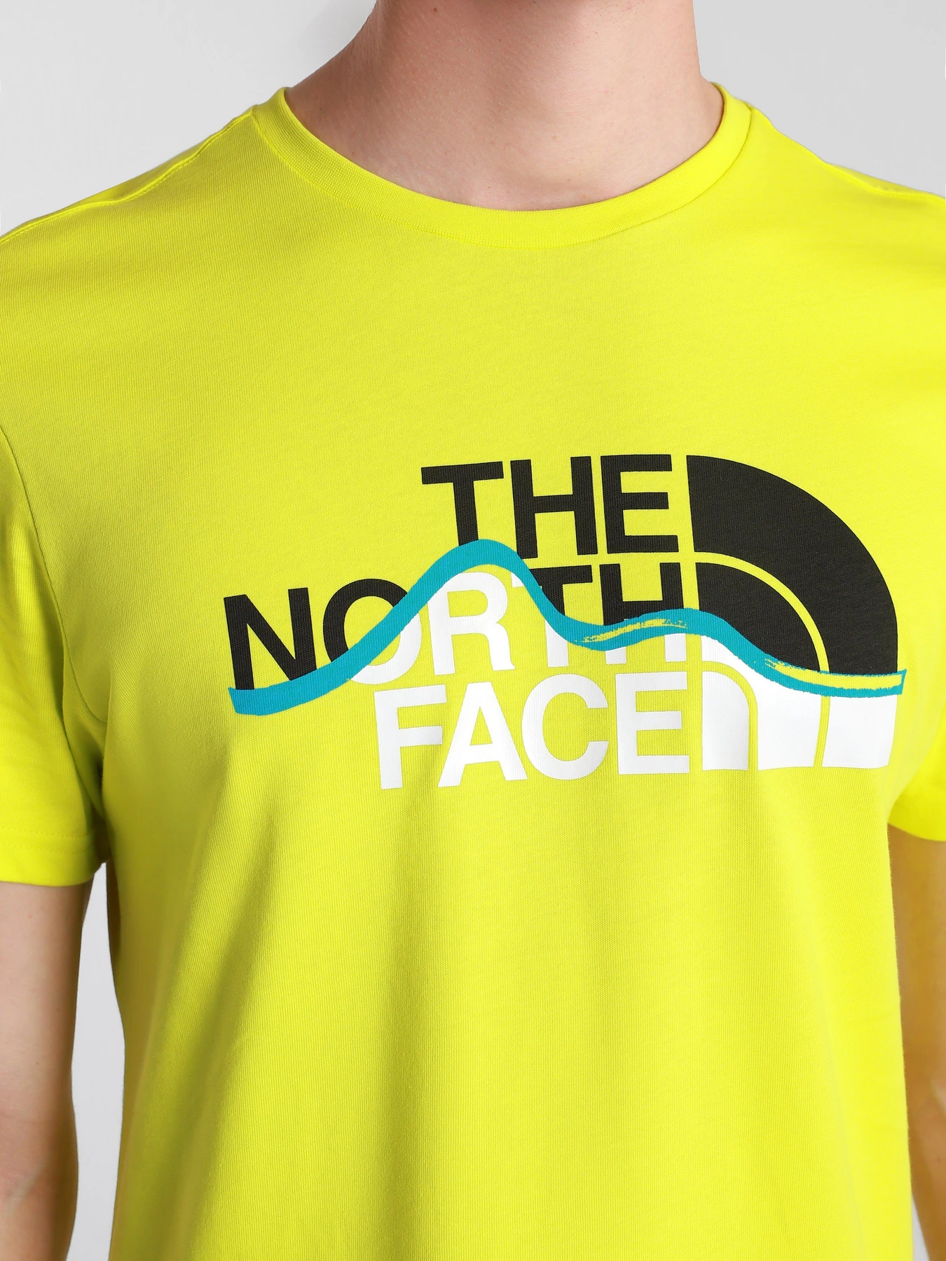 Футболки и поло The North Face S / S Mountain Line Tee модель NF00A3G2JE31 Футболки и поло The North Face S / S Mountain Line Tee модель NF00A3G2JE31 Фото