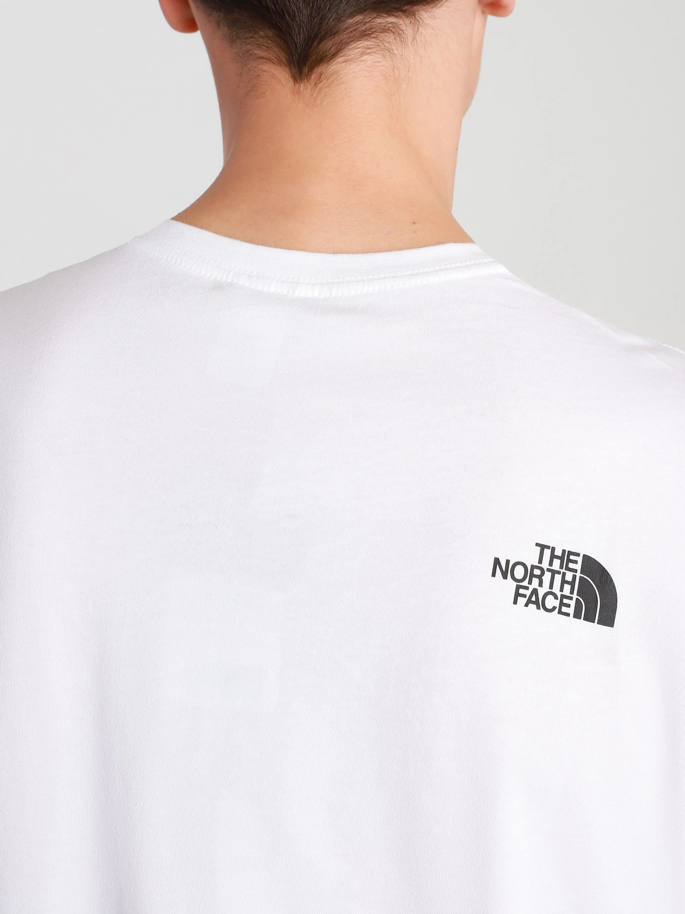 Футболки і поло The North Face Graphic модель NF0A4T1IFN41 Футболки і поло The North Face Graphic модель NF0A4T1IFN41 Фото