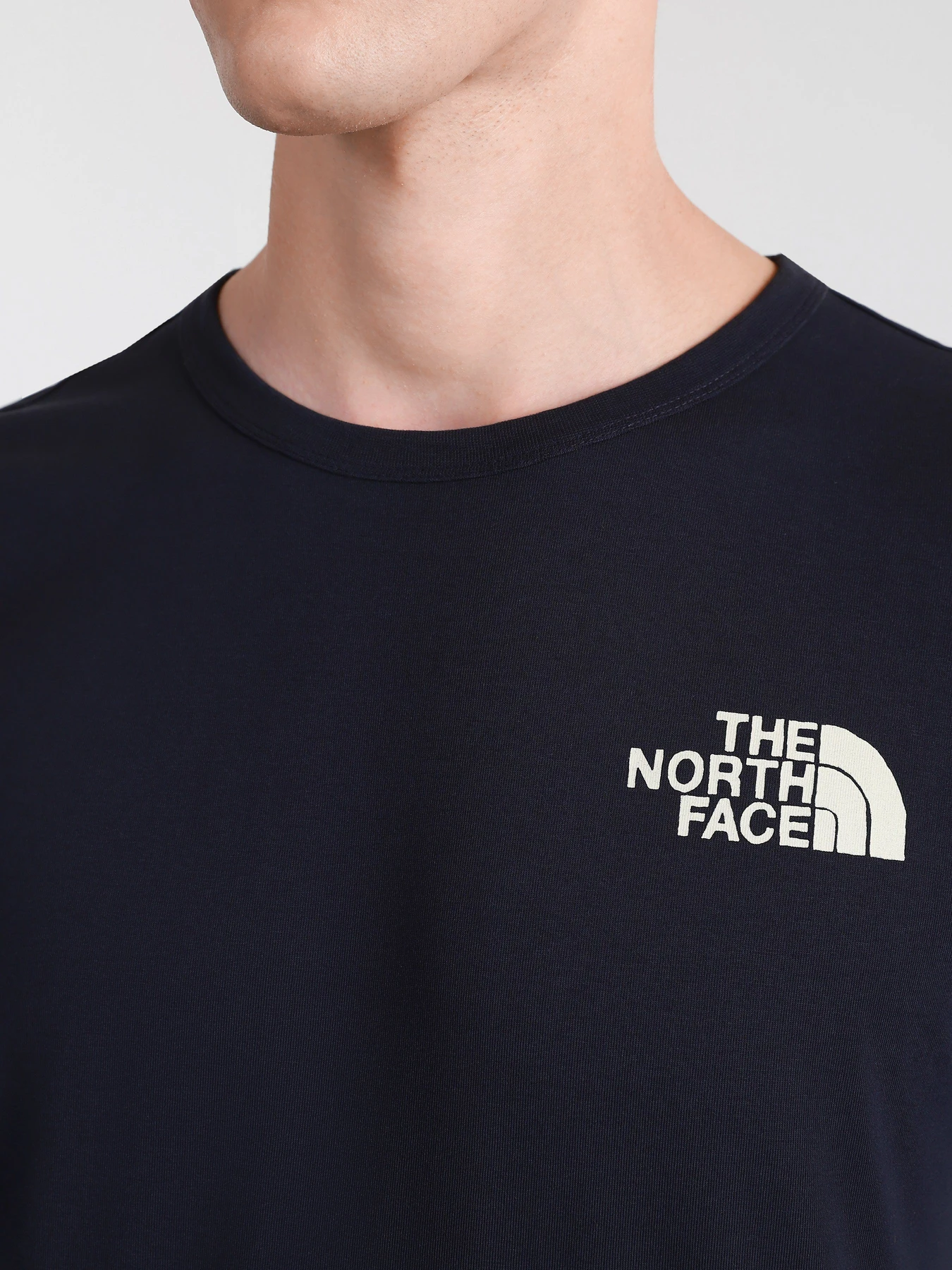 Футболки і поло The North Face Himalayan Bottle Source модель NF0A532LRG11 Футболки і поло The North Face Himalayan Bottle Source модель NF0A532LRG11 Фото