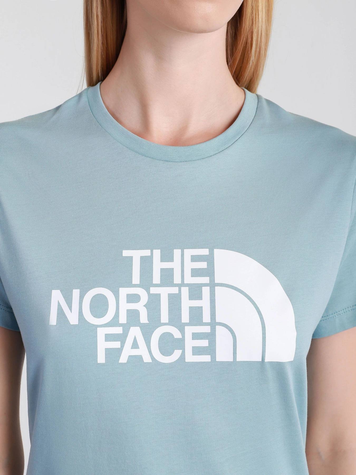 Футболки і поло The North Face Easy модель NF0A4T1QBDT1 Футболки і поло The North Face Easy модель NF0A4T1QBDT1 Фото