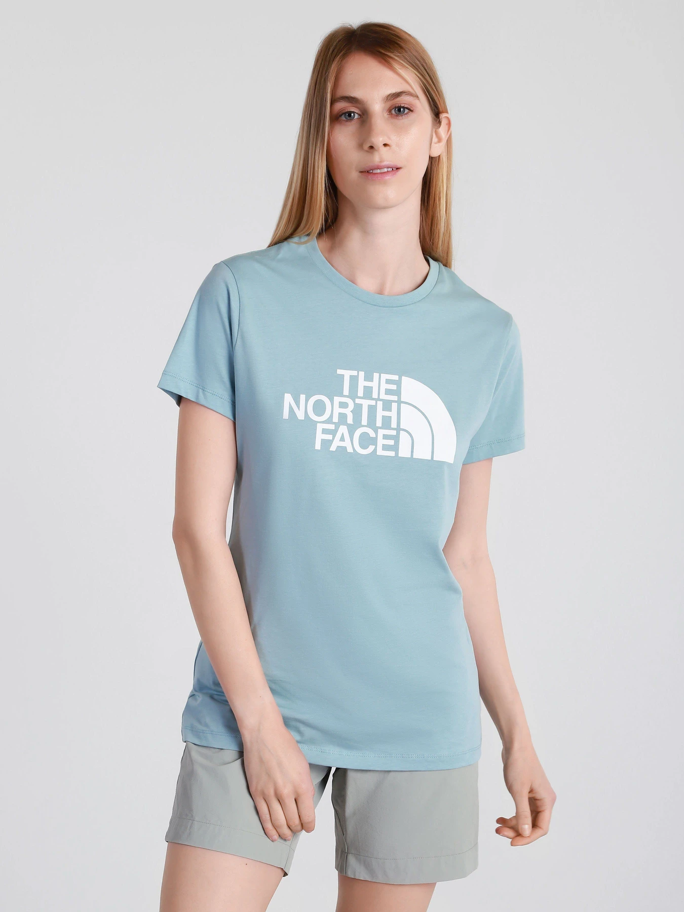 Футболки і поло The North Face Easy модель NF0A4T1QBDT1 Футболки і поло The North Face Easy модель NF0A4T1QBDT1 Фото