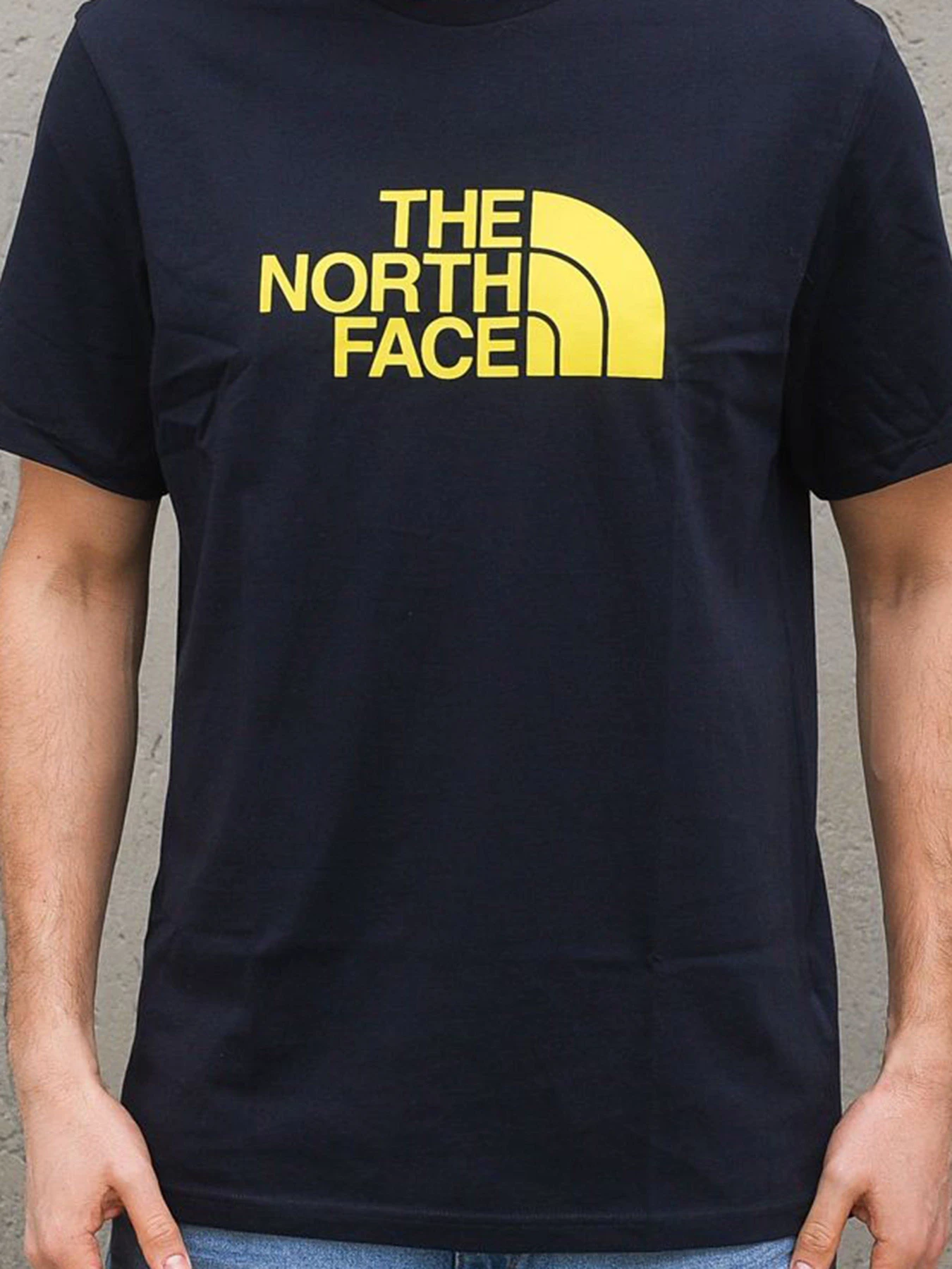Футболки и поло The North Face Easy Tee модель NF0A2TX3XE31 Футболки и поло The North Face Easy Tee модель NF0A2TX3XE31 Фото