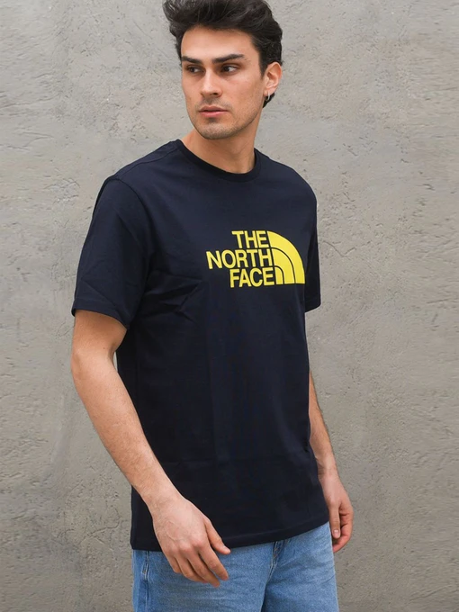 Футболки і поло The North Face Easy Tee модель NF0A2TX3XE31 Фото