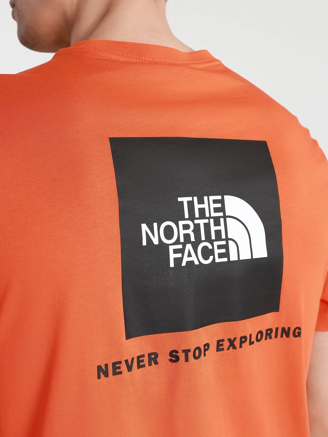 Футболки и поло The North Face Red Box Flame модель NF0A2TX2V3Q1 Футболки и поло The North Face Red Box Flame модель NF0A2TX2V3Q1 Фото