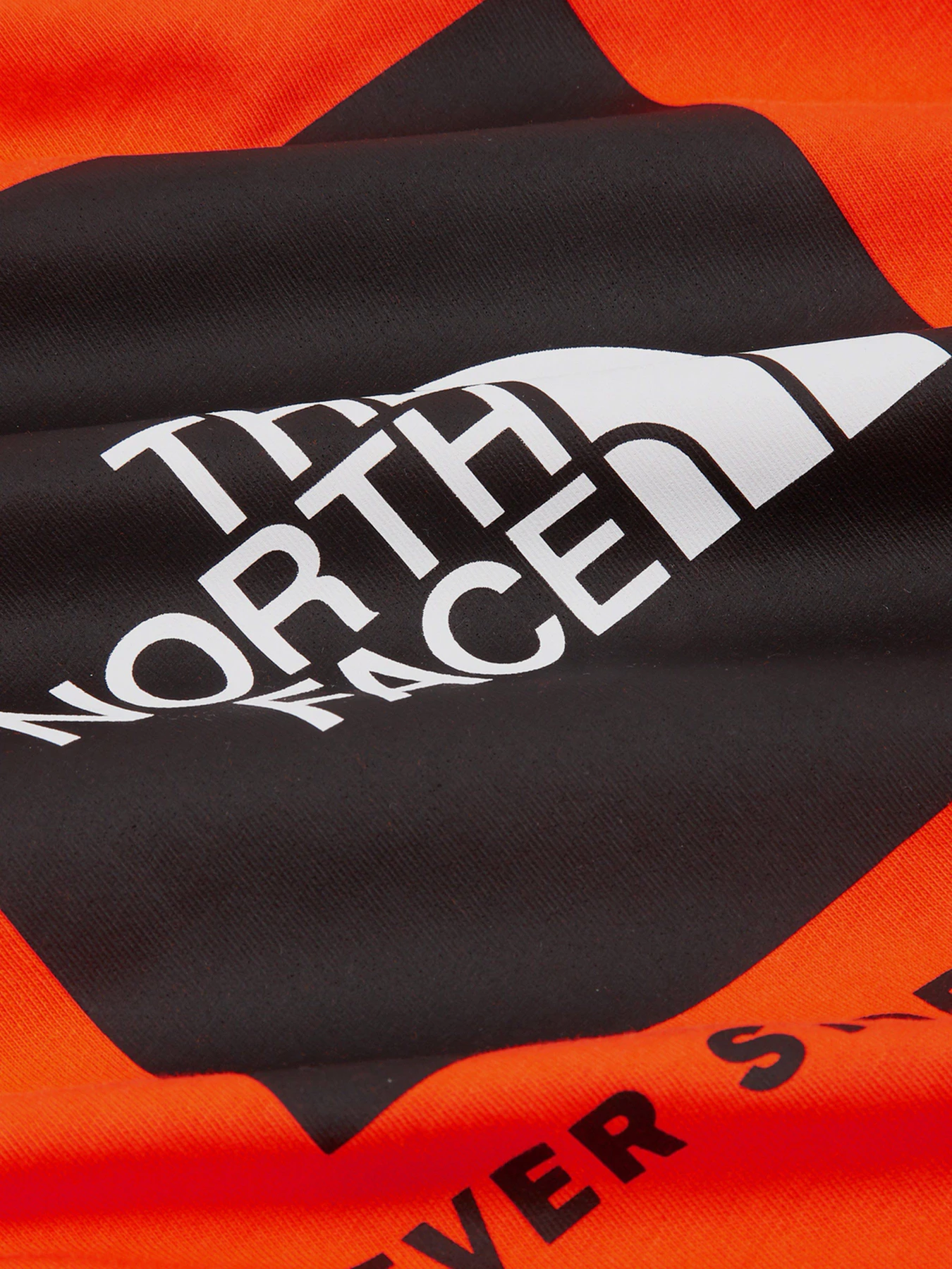 Футболки и поло The North Face Red Box Flame модель NF0A2TX2V3Q1 Футболки и поло The North Face Red Box Flame модель NF0A2TX2V3Q1 Фото