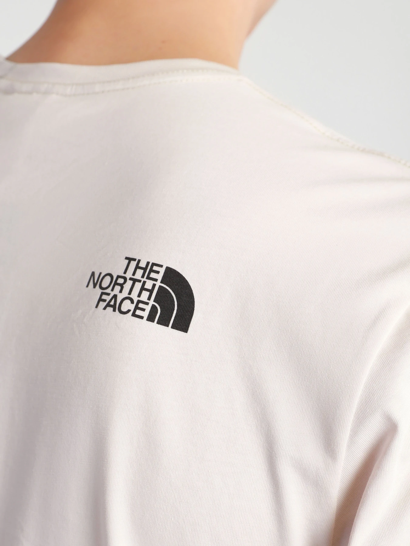 Футболки и поло The North Face NATURAL WONDERS модель NF0A4T1G11P1 Футболки и поло The North Face NATURAL WONDERS модель NF0A4T1G11P1 Фото