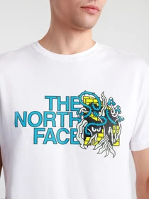 Футболки и поло The North Face Black Box SS Graphic модель NF0A557LFN41 Фото