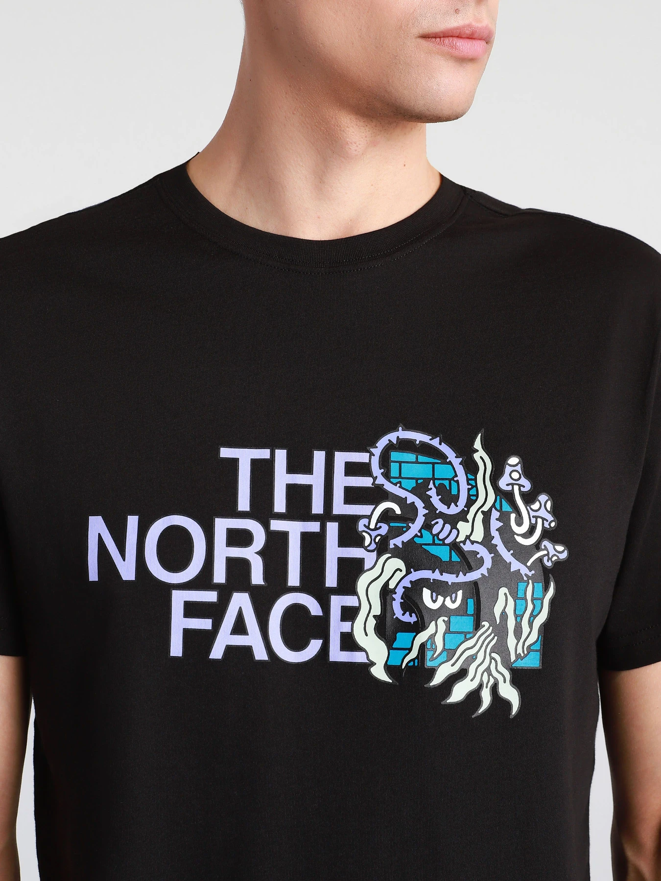 Футболки и поло The North Face  BLACK BOX SS GRAPHIC модель NF0A557LJK31 Фото