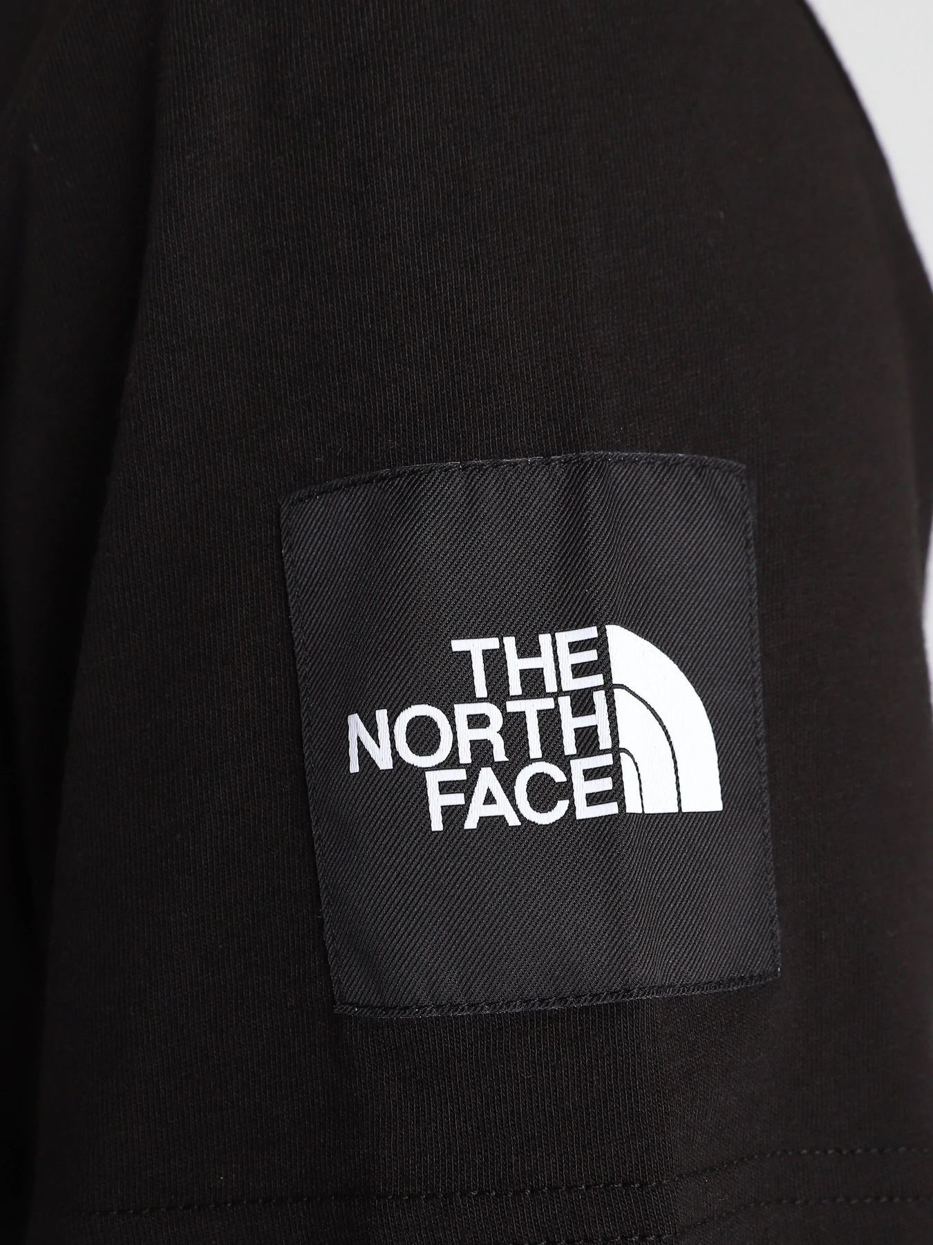 Футболки и поло The North Face  BLACK BOX SS GRAPHIC модель NF0A557LJK31 Фото