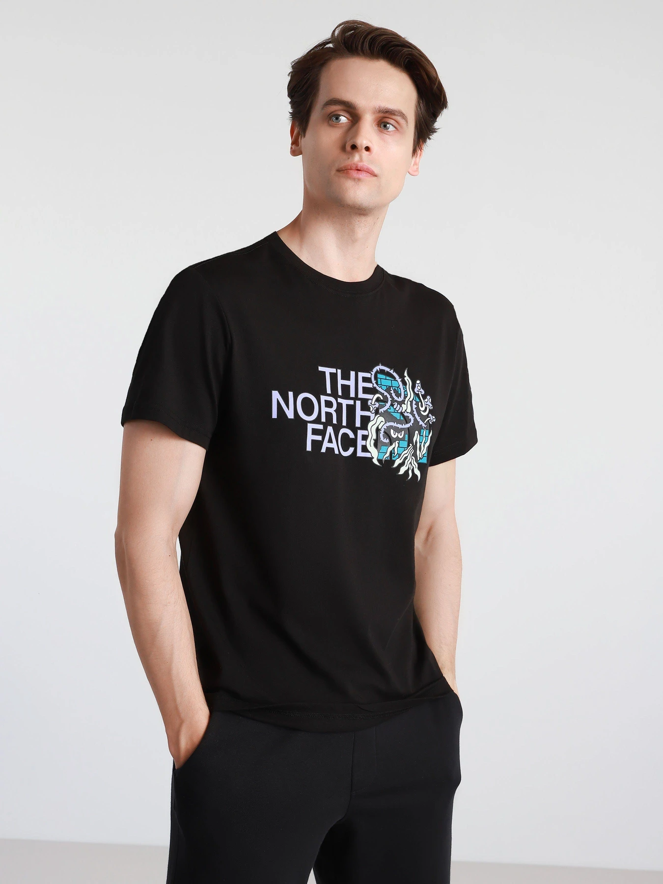 Футболки и поло The North Face  BLACK BOX SS GRAPHIC модель NF0A557LJK31 Фото