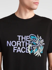 Футболки и поло The North Face  BLACK BOX SS GRAPHIC модель NF0A557LJK31 Фото