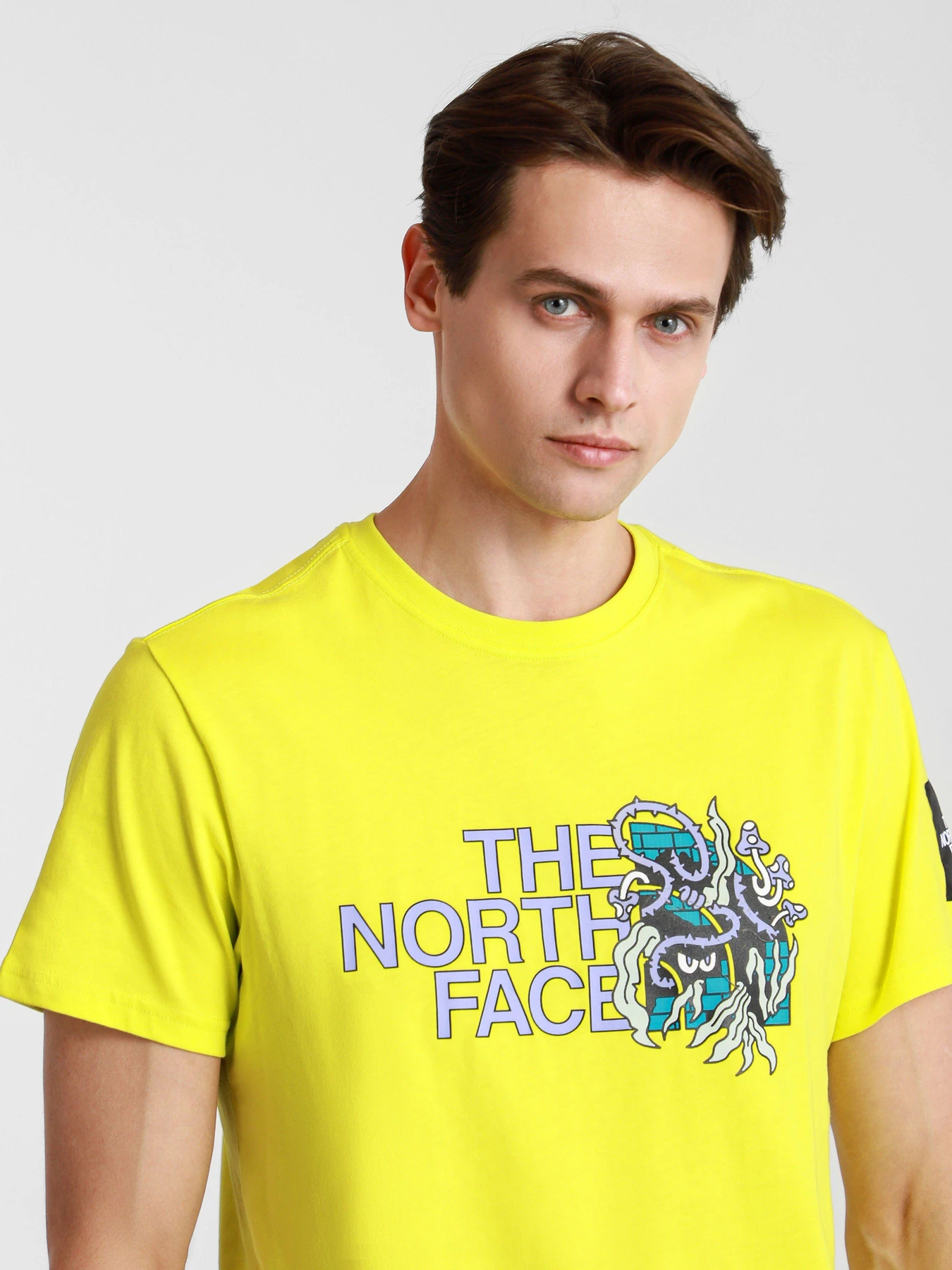 Футболки и поло The North Face BLACK BOX SS GRAPHIC модель NF0A557LJE31 Футболки и поло The North Face BLACK BOX SS GRAPHIC модель NF0A557LJE31 Фото