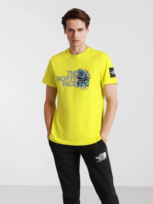 Футболки и поло The North Face BLACK BOX SS GRAPHIC модель NF0A557LJE31 Фото