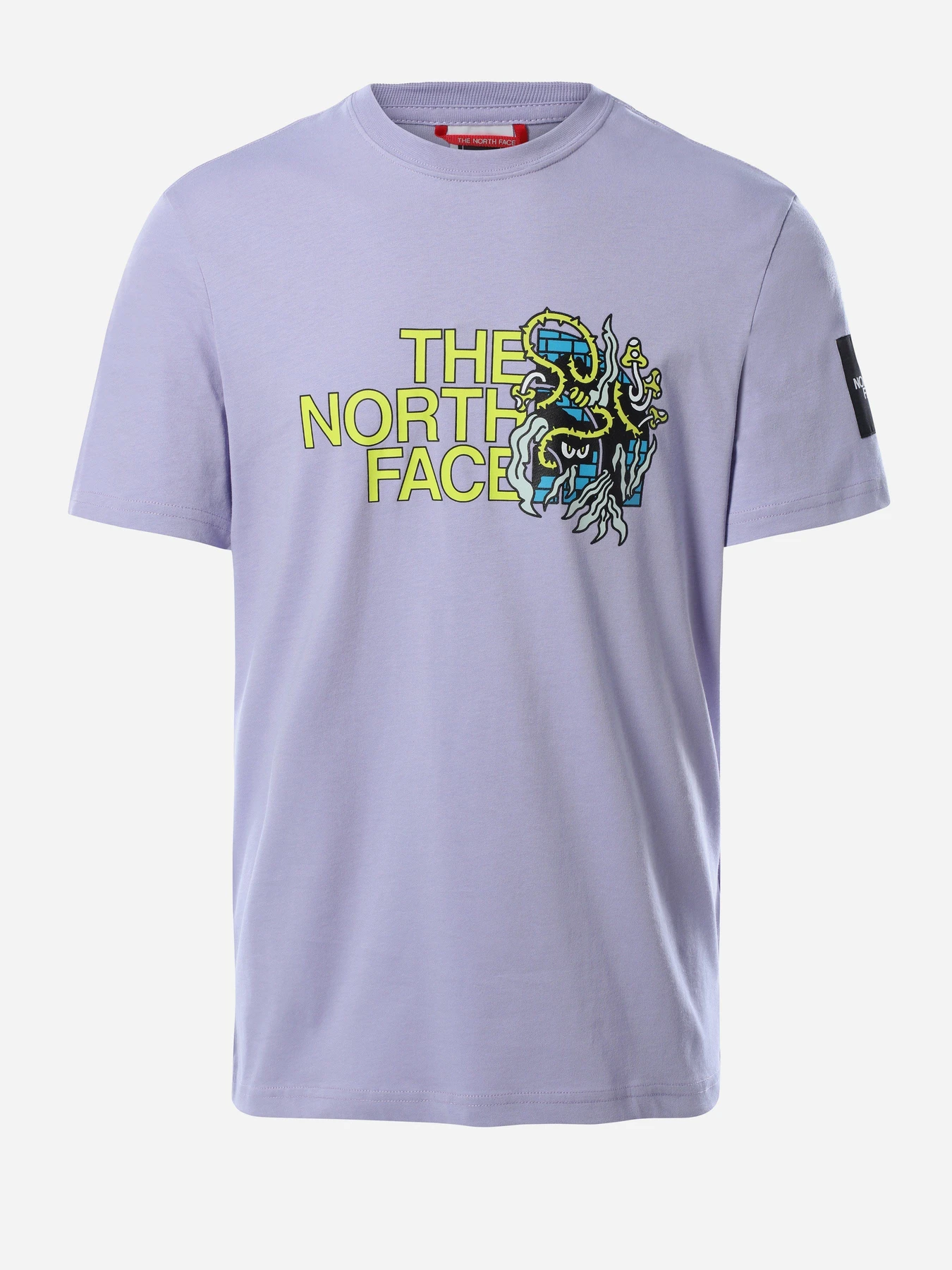 Футболки и поло The North Face  BLACK BOX SS GRAPHIC модель NF0A557LW231 Фото
