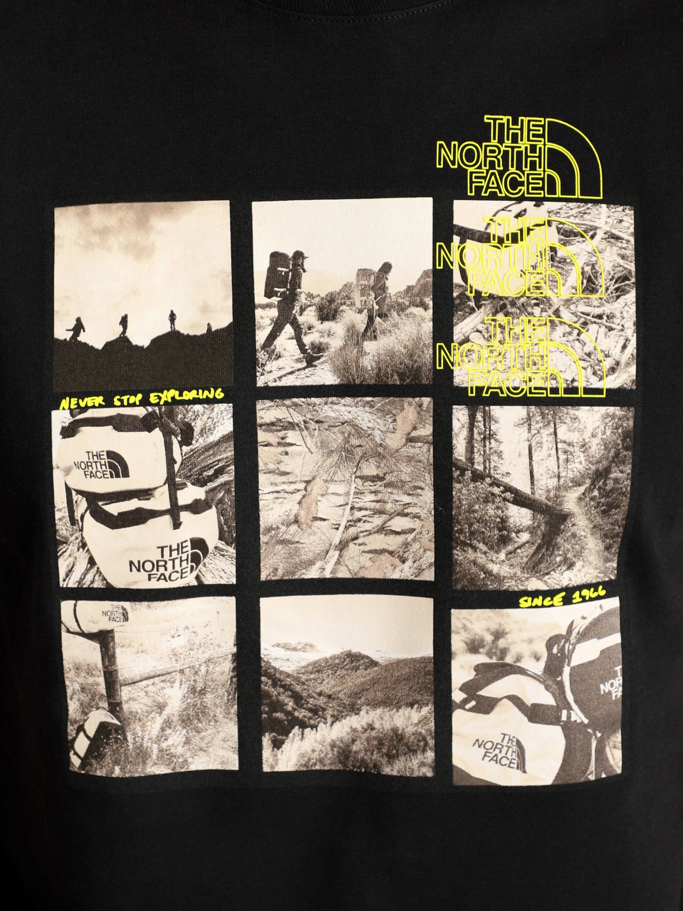 Футболки и поло The North Face BASE FALL GRAPHIC модель NF0A55TWJK31 Футболки и поло The North Face BASE FALL GRAPHIC модель NF0A55TWJK31 Фото